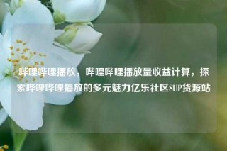 哔哩哔哩播放，哔哩哔哩播放量收益计算，探索哔哩哔哩播放的多元魅力亿乐社区SUP货源站