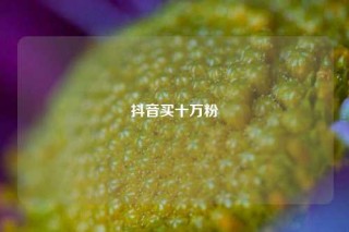 抖音买十万粉