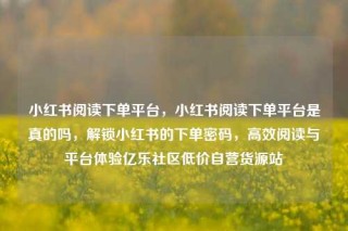 小红书阅读下单平台，小红书阅读下单平台是真的吗，解锁小红书的下单密码，高效阅读与平台体验亿乐社区低价自营货源站