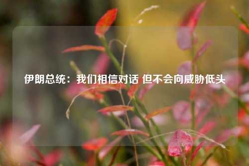 伊朗总统：我们相信对话 但不会向威胁低头  第1张