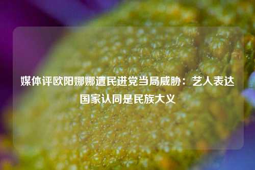 媒体评欧阳娜娜遭民进党当局威胁：艺人表达国家认同是民族大义  第1张