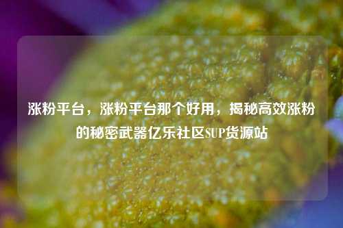 涨粉平台，涨粉平台那个好用，揭秘高效涨粉的秘密武器亿乐社区SUP货源站  第1张