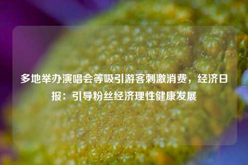 多地举办演唱会等吸引游客刺激消费，经济日报：引导粉丝经济理性健康发展  第1张