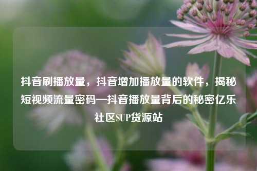抖音刷播放量	，抖音增加播放量的软件，揭秘短视频流量密码—抖音播放量背后的秘密亿乐社区SUP货源站  第1张