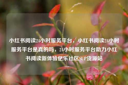 小红书阅读24小时服务平台，小红书阅读24小时服务平台是真的吗	，24小时服务平台助力小红书阅读新体验亿乐社区SUP货源站  第1张