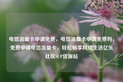 电信流量卡申请免费，电信流量卡申请免费吗	，免费申请电信流量卡，轻松畅享网络生活亿乐社区SUP货源站  第1张