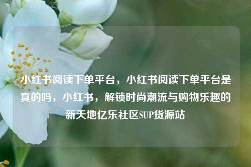 小红书阅读下单平台，小红书阅读下单平台是真的吗，小红书，解锁时尚潮流与购物乐趣的新天地亿乐社区SUP货源站  第1张