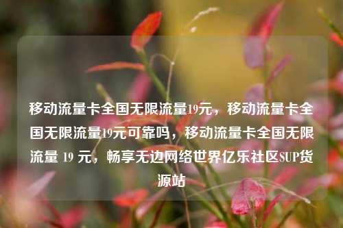 移动流量卡全国无限流量19元，移动流量卡全国无限流量19元可靠吗，移动流量卡全国无限流量 19 元	，畅享无边网络世界亿乐社区SUP货源站  第1张
