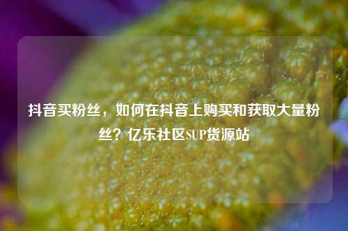 抖音买粉丝，如何在抖音上购买和获取大量粉丝？亿乐社区SUP货源站  第1张