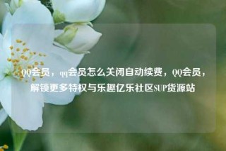 QQ会员，qq会员怎么关闭自动续费，QQ会员，解锁更多特权与乐趣亿乐社区SUP货源站