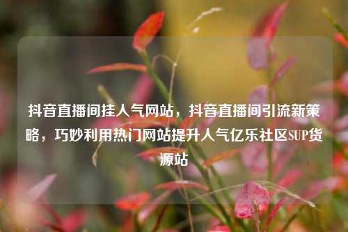 抖音直播间挂人气网站，抖音直播间引流新策略，巧妙利用热门网站提升人气亿乐社区SUP货源站  第1张