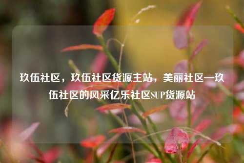 玖伍社区，玖伍社区货源主站	，美丽社区—玖伍社区的风采亿乐社区SUP货源站  第1张