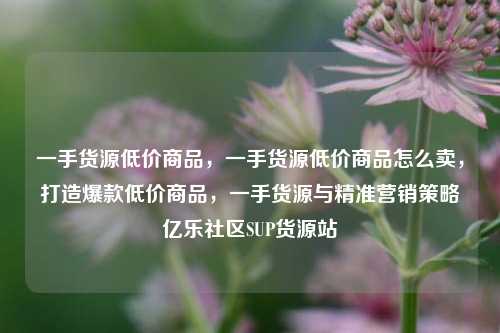 一手货源低价商品，一手货源低价商品怎么卖	，打造爆款低价商品，一手货源与精准营销策略亿乐社区SUP货源站  第1张