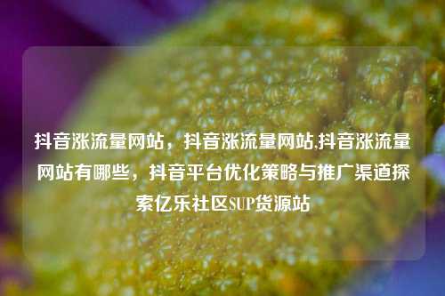 抖音涨流量网站	，抖音涨流量网站,抖音涨流量网站有哪些，抖音平台优化策略与推广渠道探索亿乐社区SUP货源站  第1张